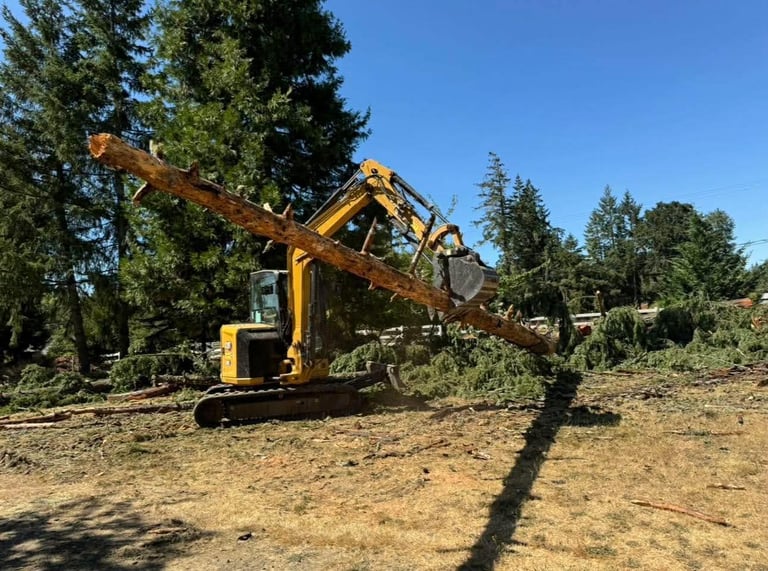 Yellow excavator with long boom arm loading logs in a wooded area with evergreen trees
