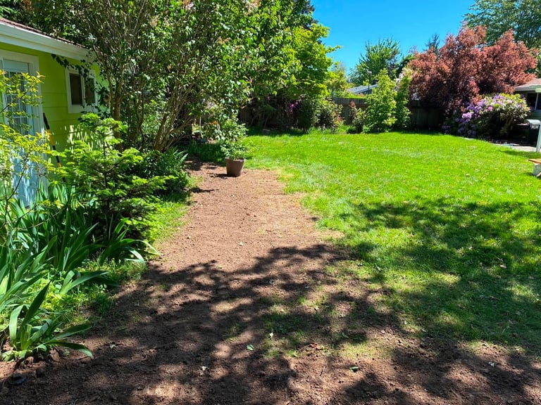 Sunny backyard with green lawn, mulched garden beds, flowering shrubs, and part of a lime green house visible