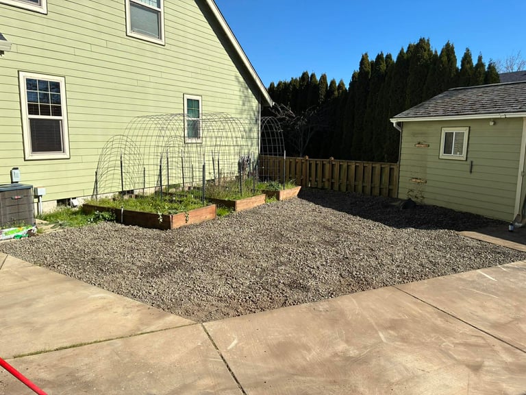 Light green house with gravel backyard patio, raised garden bed with trellis, small shed, and evergreen trees in background