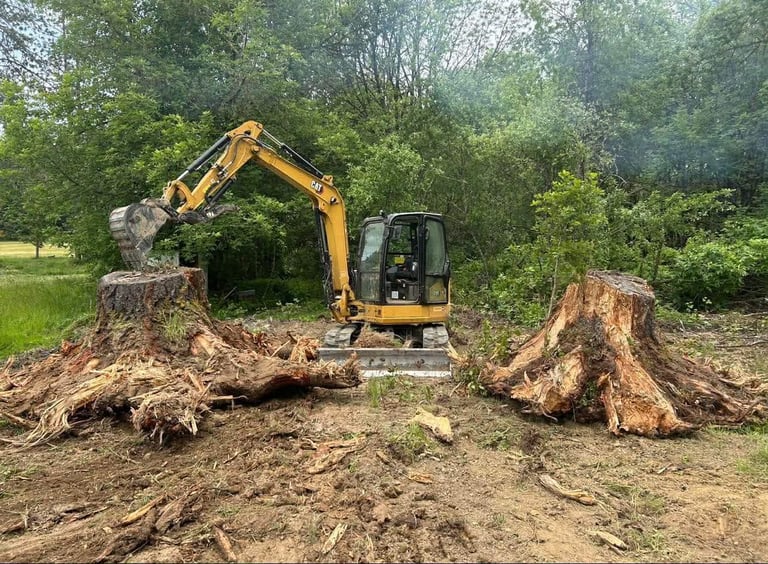 Yellow excavator removing tree stumps from wooded area with tree root systems exposed in dirt