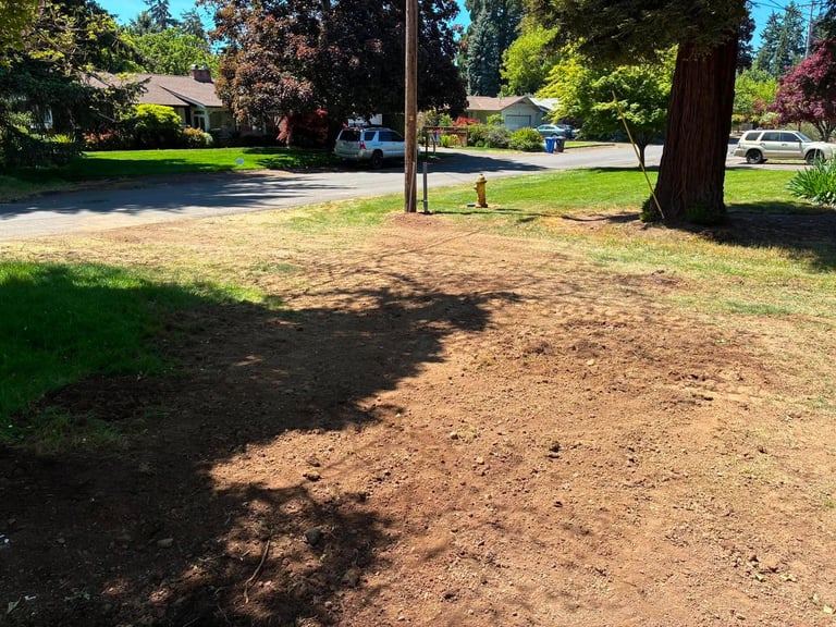 Suburban park with large tree, dirt clearing, grass areas, bench, and residential homes visible in background on sunny day