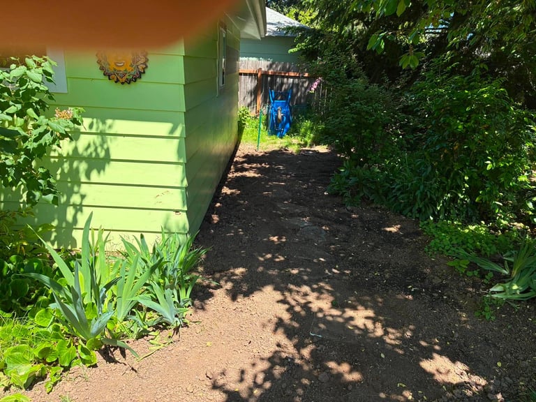Green wooden shed with pathway, lush vegetation on sides, and dappled sunlight on garden ground